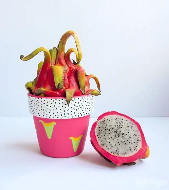 18 Small Diy Clay Pot Crafts For Beginners