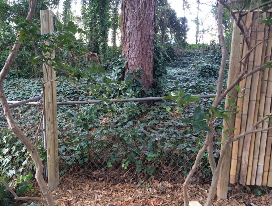 Set the Fence Posts.jpg