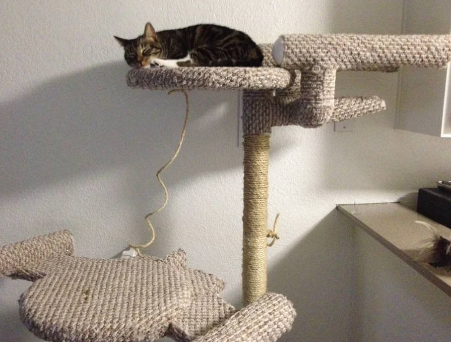 diy Star Trek Cat Tree.jpg