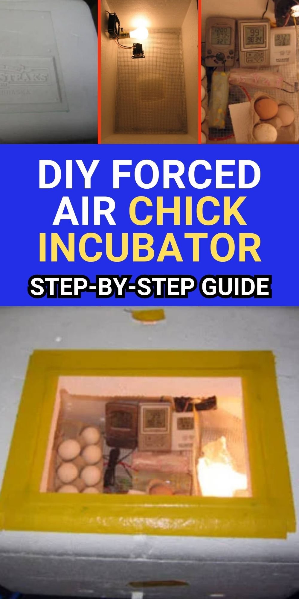 diy forced air chick incubator 1.jpg