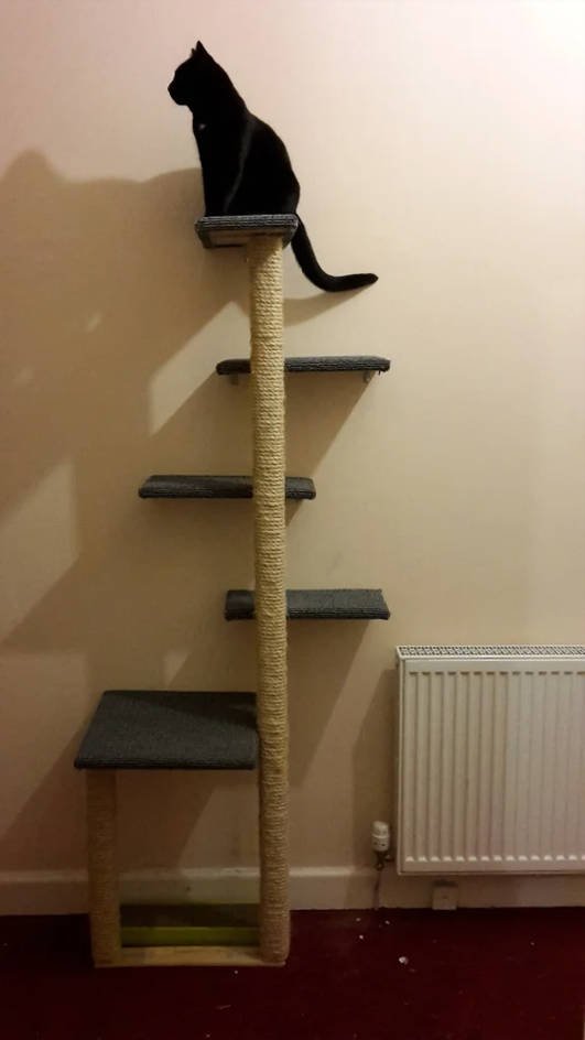diy modern cat tree.jpg