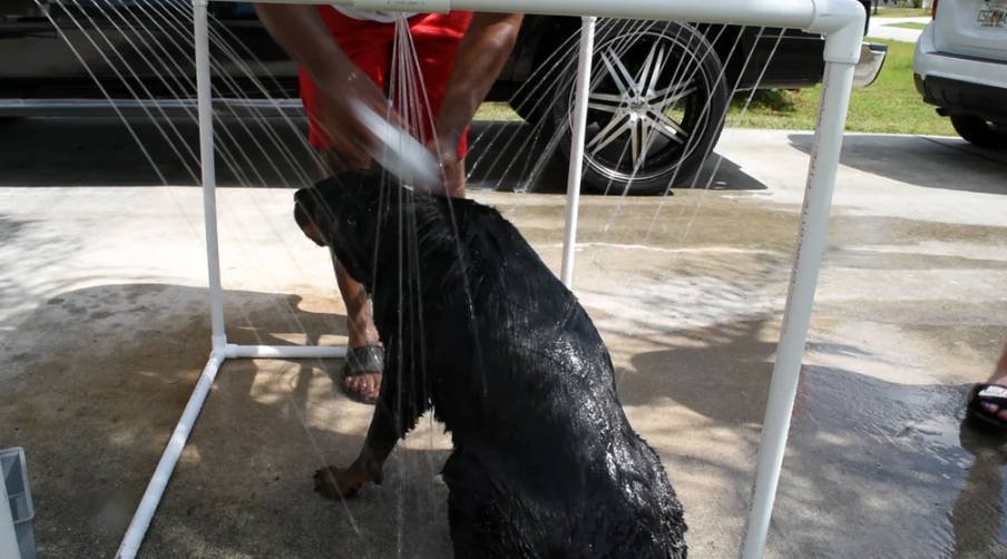 diy outdoor dog shower.jpg