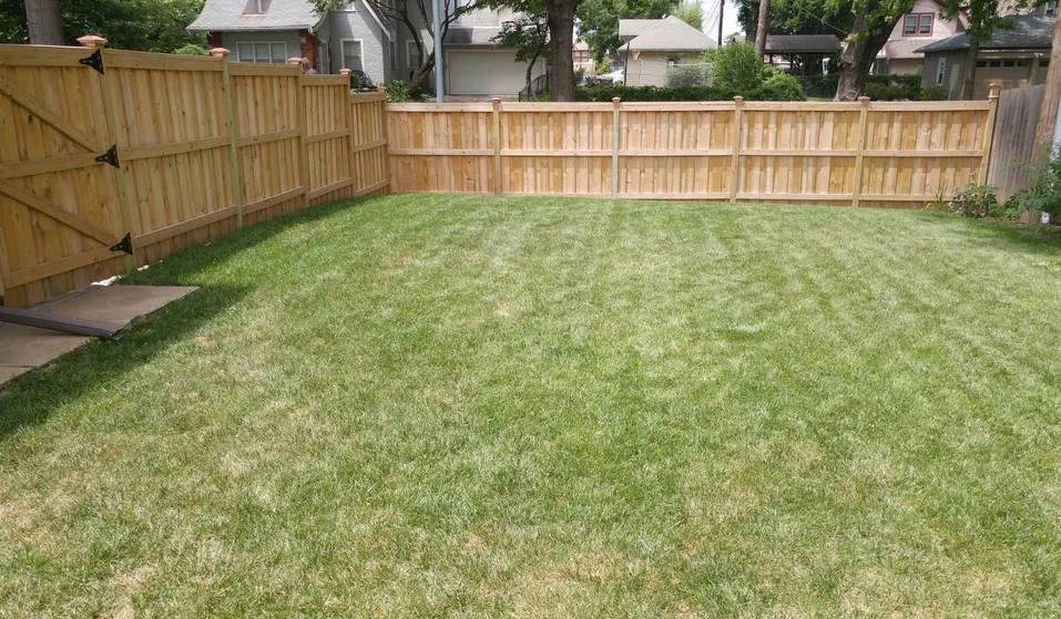 privacy fence idea on a budget.jpg